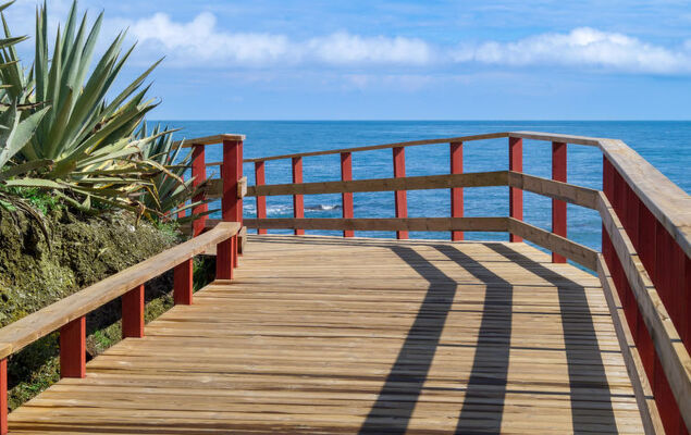 Las Buganvillas - Photo 33