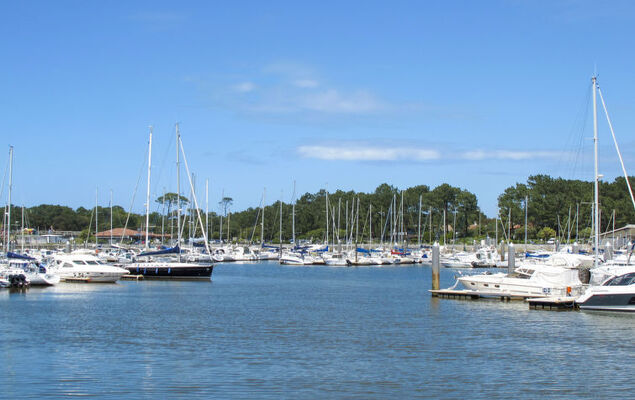 mille sabords - Photo 29