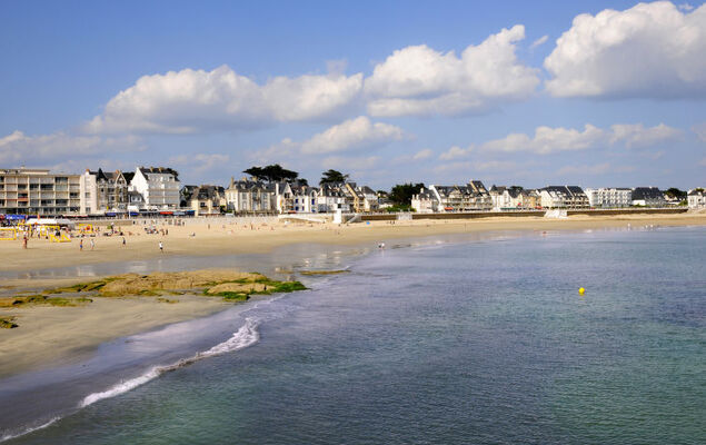 Ty Jeanne - Photo 13