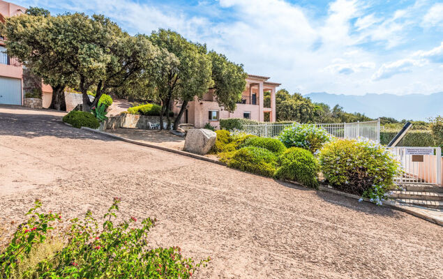 Giulia II - Photo 29