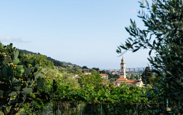 La Bouganville - Rustico con giardino - Photo 5